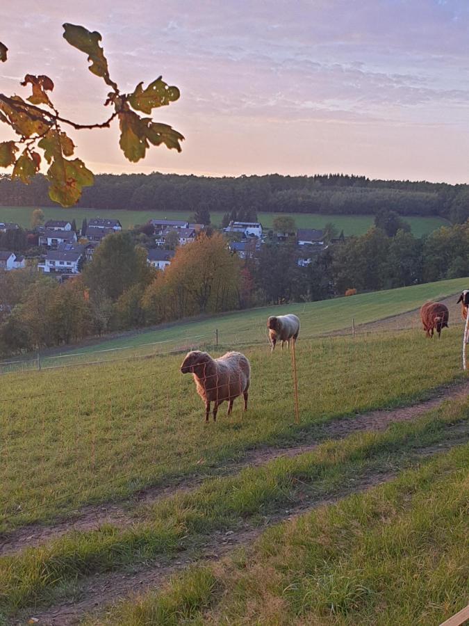 Andinas Ferienwohnung In Ruhiger Lage Direkt Am Wald Wilnsdorf ภายนอก รูปภาพ