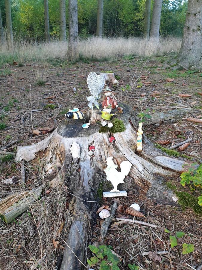 Andinas Ferienwohnung In Ruhiger Lage Direkt Am Wald Wilnsdorf ภายนอก รูปภาพ